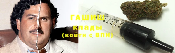 молекула духа Алексин