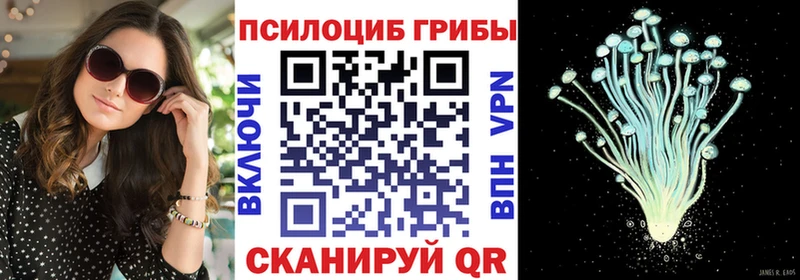 купить наркотики сайты  Искитим  Галлюциногенные грибы Magic Shrooms 